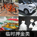 临时押金类